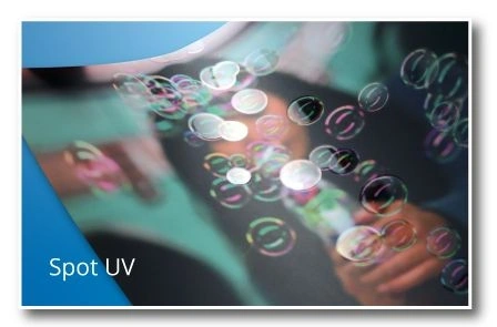  Spot - Uv